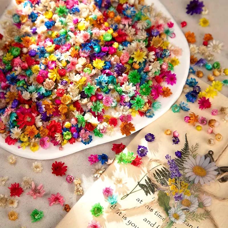 Balmumu Kalıplama için Karışık - Candle Supplies Bulk incelemesi ve fiyatı